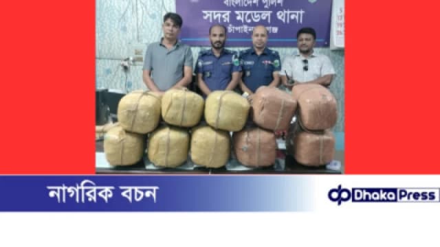 চাঁপাইনবাবগঞ্জে ৪০ কেজি গাঁজাসহ ট্রাক জব্দ