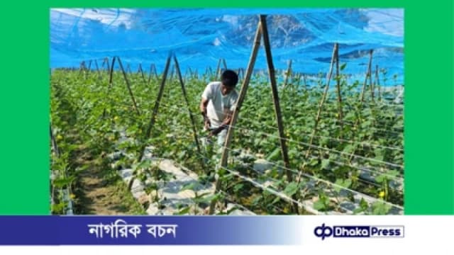 দীঘিনালায় কমিউনিটি লার্নিং সেন্টারের উদ্যোগে মাঠ দিবস উদ...