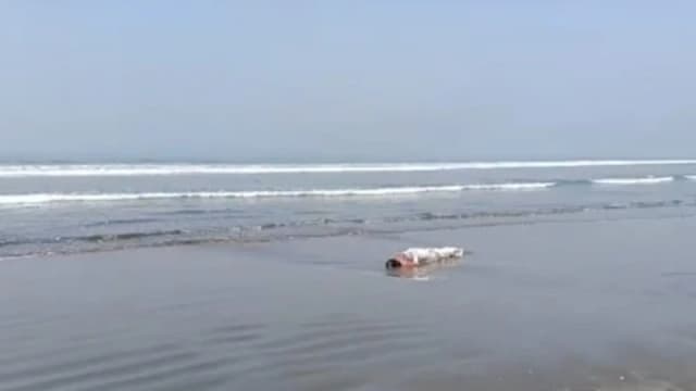 টেকনাফে সমুদ্র সৈকতে অজ্ঞাত নারীর লাশ উদ্ধার