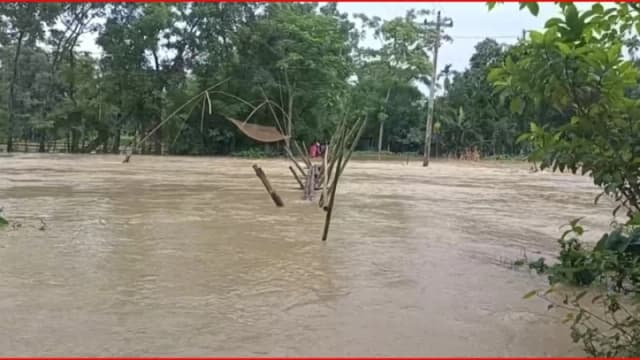 পাহাড়ি ঢলে হালুয়াঘাটের নিম্নাঞ্চল প্লাবিত, পানিবন্দি হাজারো মানুষ