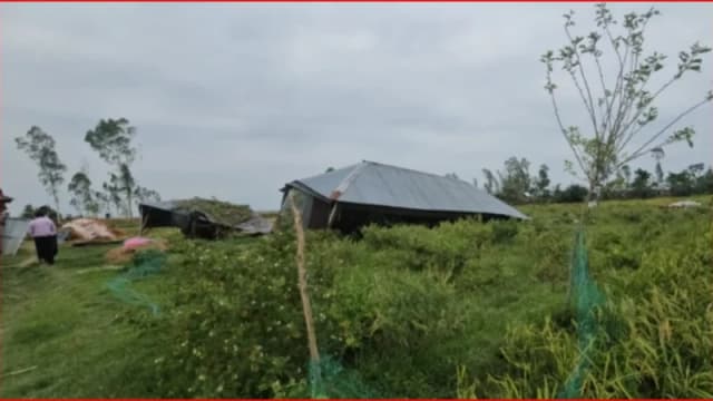 কালবৈশাখীর তাণ্ডবে লণ্ডভণ্ড গাইবান্ধা, আশ্রয়হীন শতাধিক পরিবার
