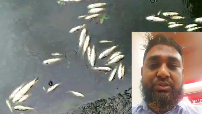 পটিয়ায় পুকুরে বিষ প্রয়োগের অভিযো...