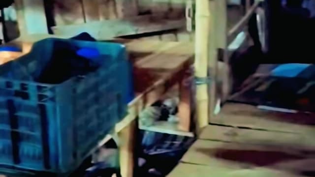 মুরাদনগরের কোম্পানীগঞ্জ বাজারের ফুটপাতে প্রশ্নবিদ্ধ ‘চকি ব্যবসা’